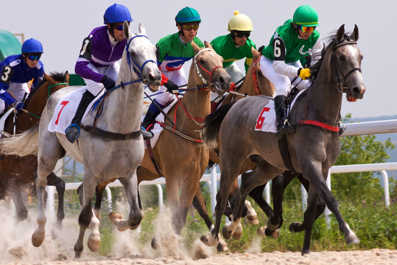 Jockeys and horses racing at Galway Races Ballybrit Racecourse, with affordable accommodation nearby at The Dawson Hostel Galway.