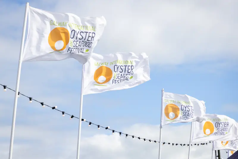 Flags flying at the Galway Oyster & Seafood Festival 2025 near Eyre Square, close to The Dawson Hostel Galway